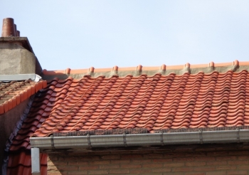 Démoussage d'une toiture située Elkestraat